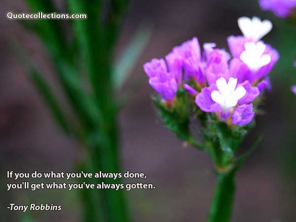 Tony Robbins Quotes3